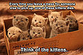 WorkshopSigns - Kittens.jpg